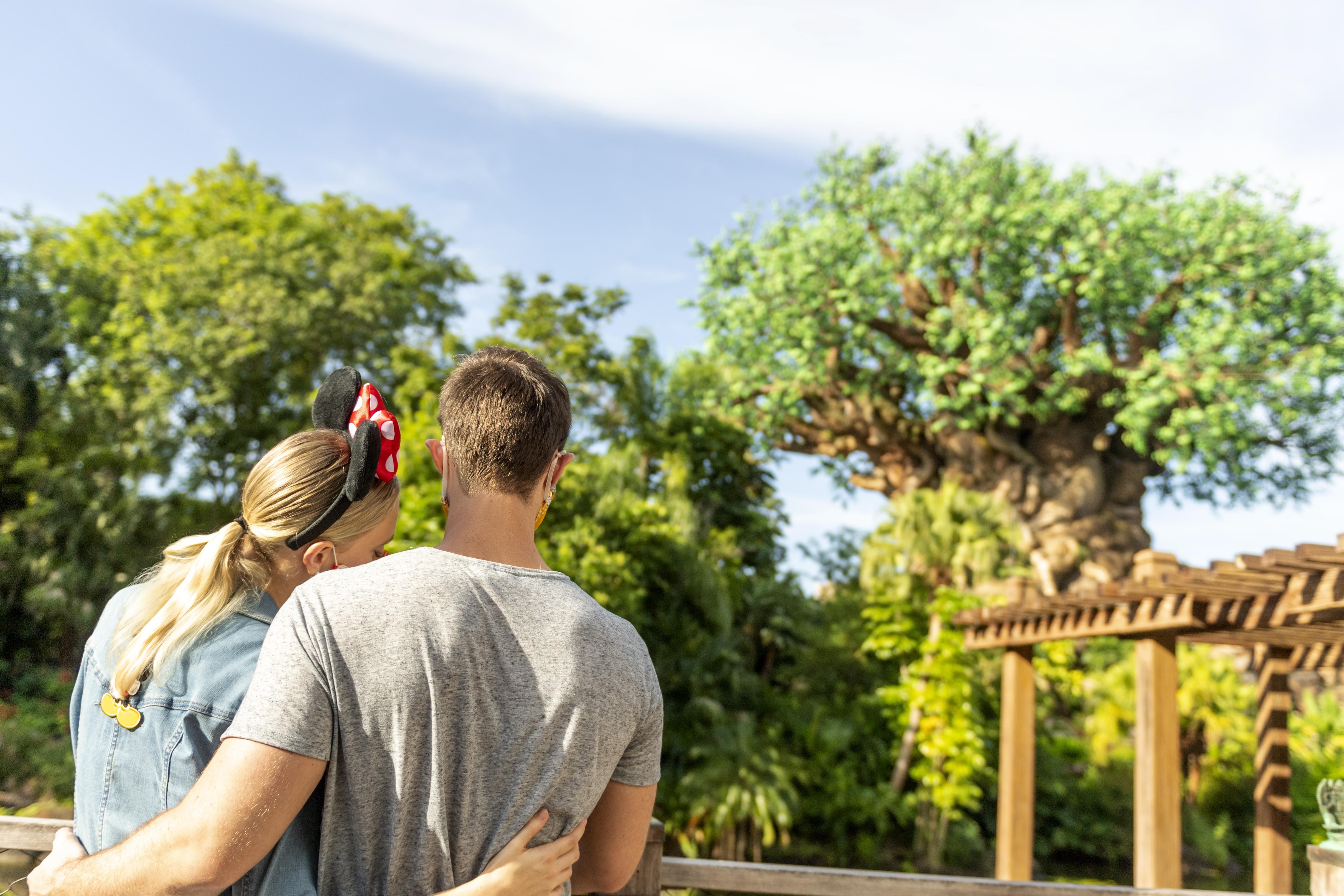 Disney'S Animal Kingdom Lodge Four Corners Esterno foto