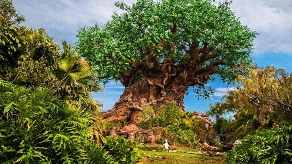 Disney'S Animal Kingdom Lodge Four Corners Esterno foto