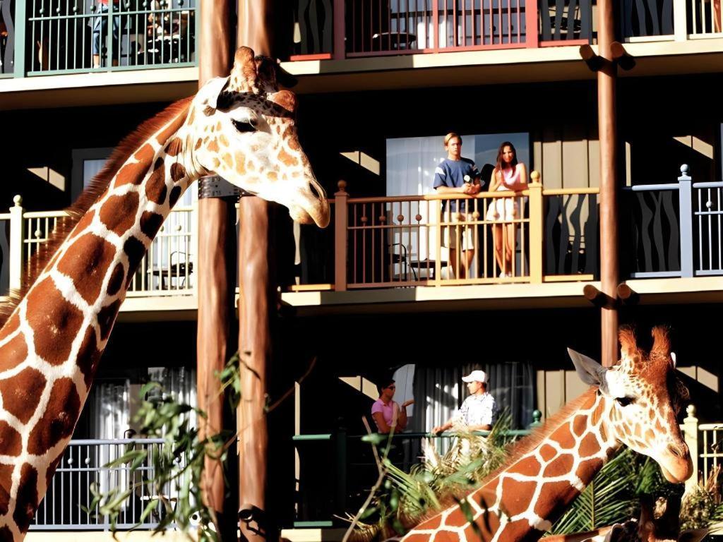 Disney'S Animal Kingdom Lodge Four Corners Esterno foto