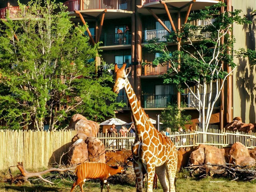 Disney'S Animal Kingdom Lodge Four Corners Esterno foto