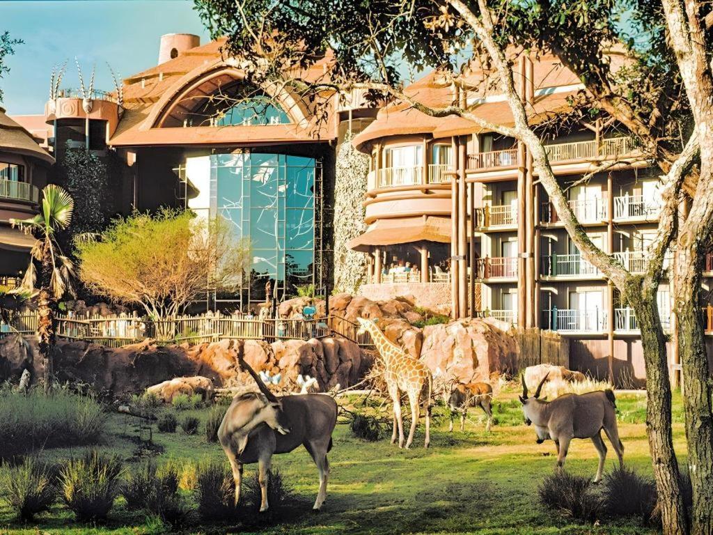 Disney'S Animal Kingdom Lodge Four Corners Esterno foto