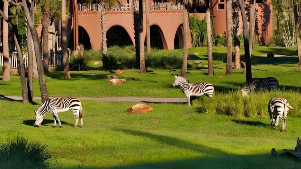 Disney'S Animal Kingdom Lodge Four Corners Esterno foto